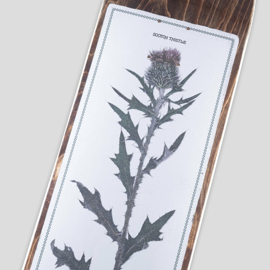 Decks PASS~PORT | Pass~Port Invasive Species Series - Scotch Thistle