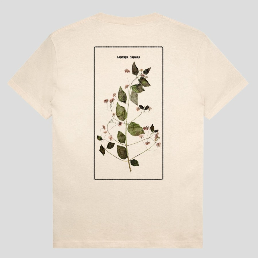 Tees PASS~PORT | Pass~Port Lantana Tee - Natural